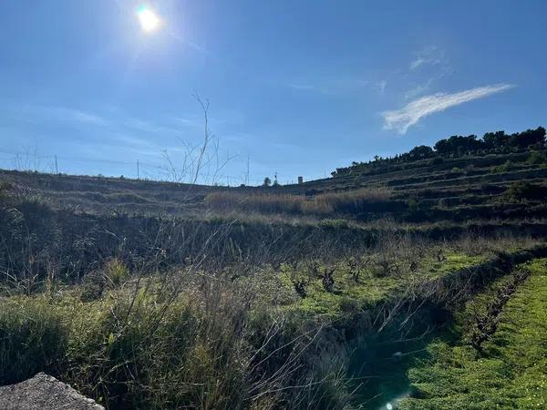 Terreno en Partida llenes, poligono 94