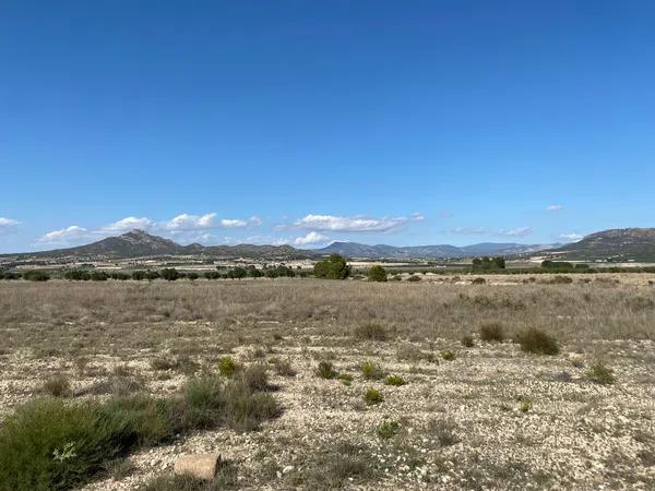 Terreno en carretera Monovar s/n sn