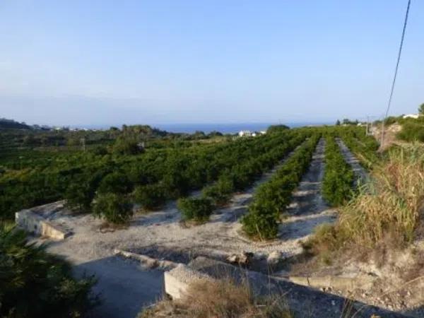 Terreno en Benimeli