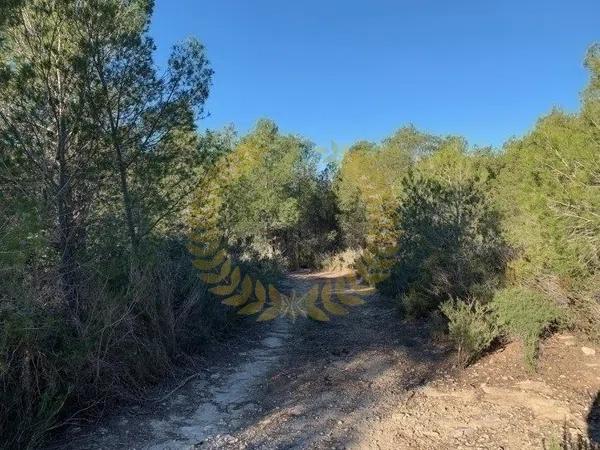 Terreno en Partida Segarra