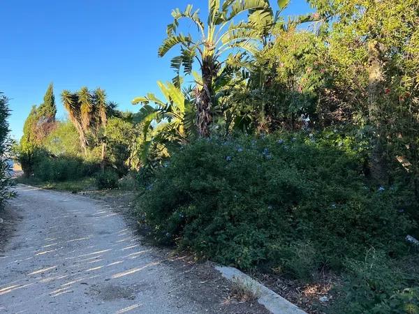 Terreno en La Pedrera-Vessanes