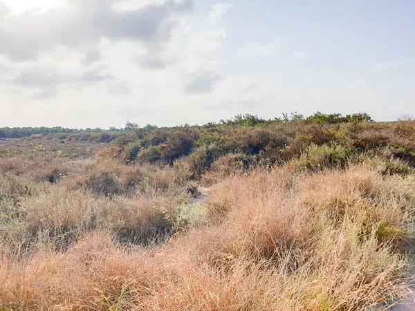 Terreno en La Marina, 49 -205