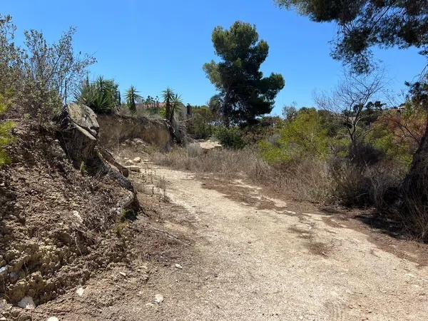 Terreno en La Viña - Montemar - San Jaime