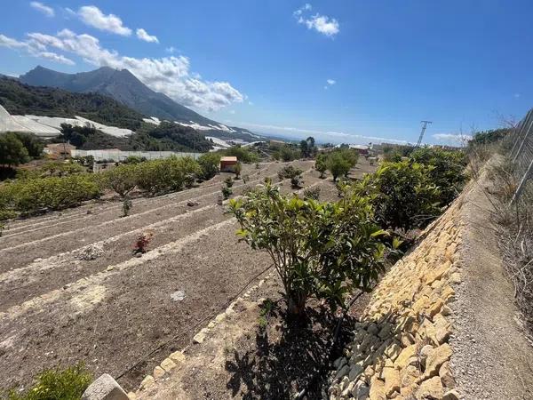 Terreno en Callosa d'En Sarria