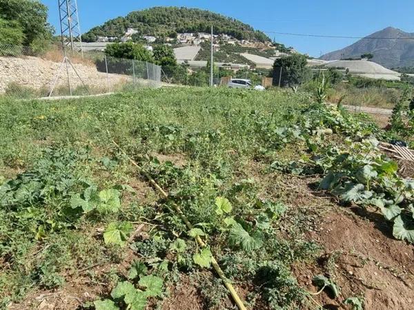 Terreno en La Nucia Pueblo