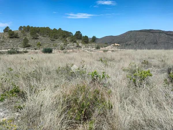 Terreno en Hondón de las Nieves