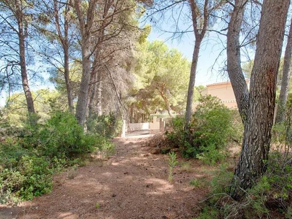 Terreno en Cala Advocat - Baladrar