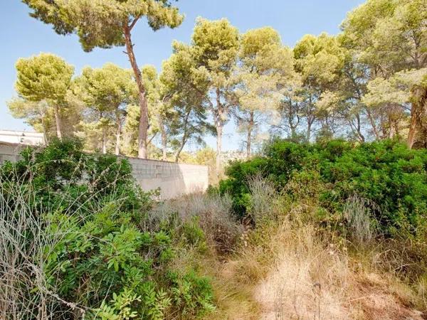 Terreno en Cala Advocat - Baladrar