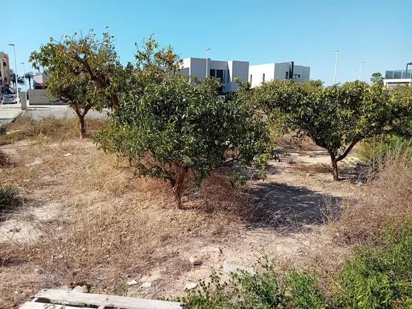 Terreno en calle de la Pau, 1