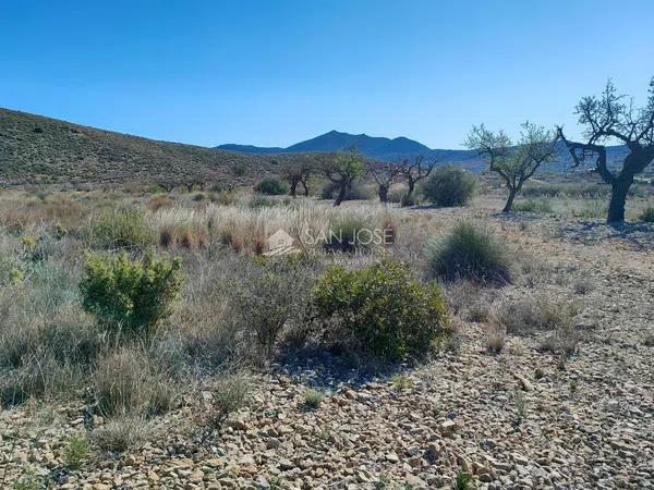 Terreno en Hondón de los Frailes