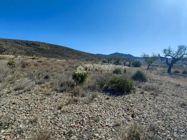 Terreno en Hondón de los Frailes