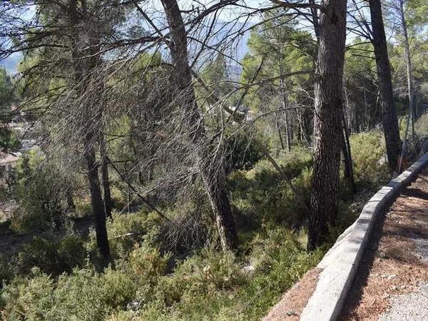 Terreno en Alcalalí