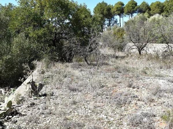 Terreno en Alcalalí