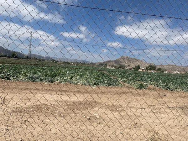 Terreno en Pedanías Oeste