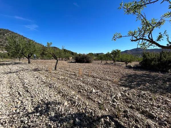 Terreno en Barrio Canicios