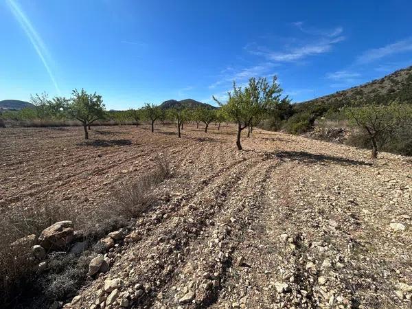 Terreno en Barrio Canicios