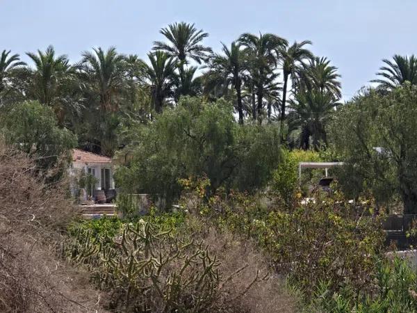 Terreno en Algoda-Matola-Llano de San José