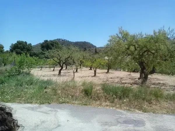 Terreno en avenida de Elche, 18