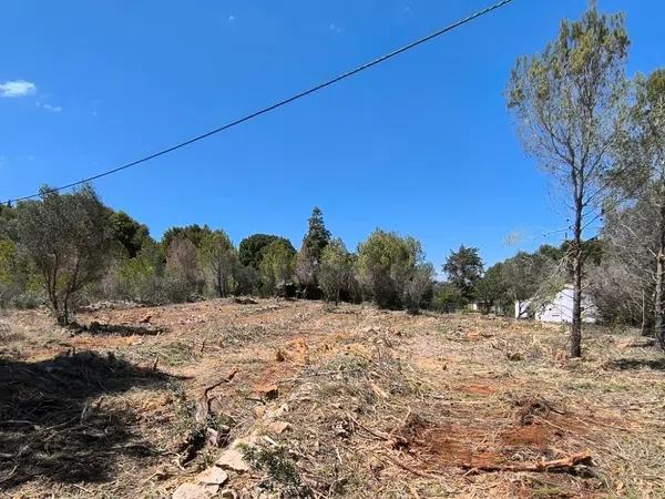 Terreno en Les Rotes/Las Rotas