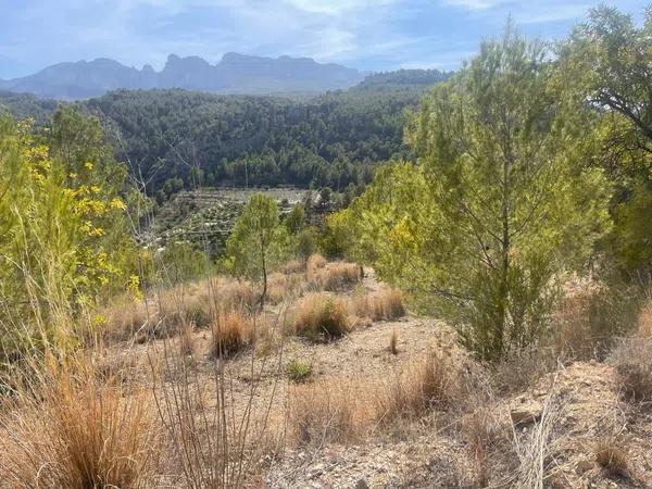 Terreno en Callosa d'En Sarria