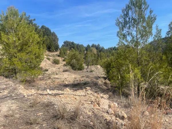 Terreno en Callosa d'En Sarria