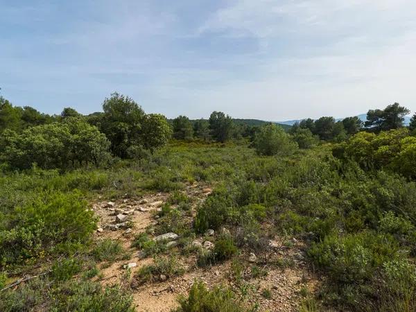 Terreno en juan carlos, 1