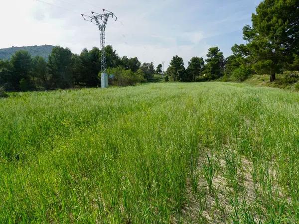 Terreno en juan carlos, 1