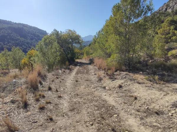 Terreno en Partida Maset, km 2