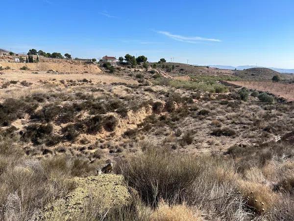 Terreno en Partida Horna Alta