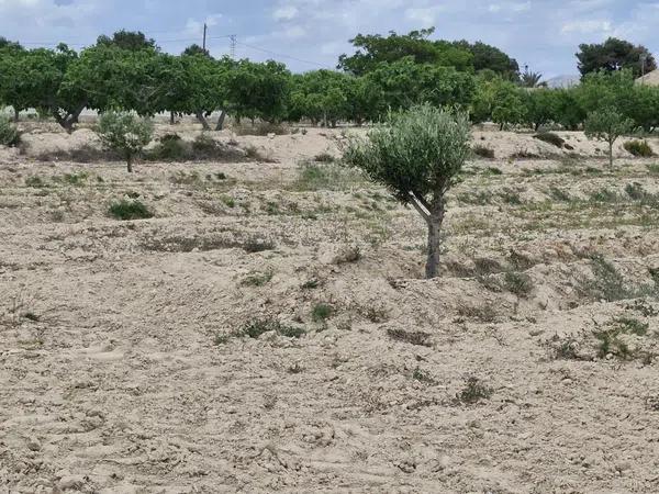 Terreno en Jubalcoi-Saladas