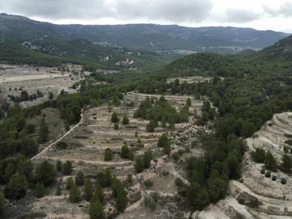 Terreno en Partida Bugaia Llentiscar