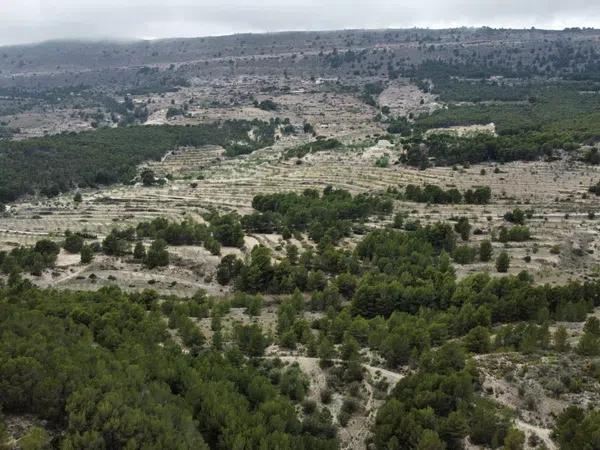 Terreno en Partida Bugaia Llentiscar