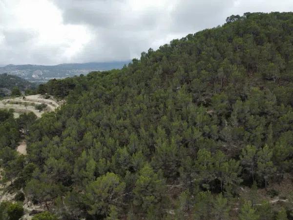 Terreno en Partida Bugaia Llentiscar