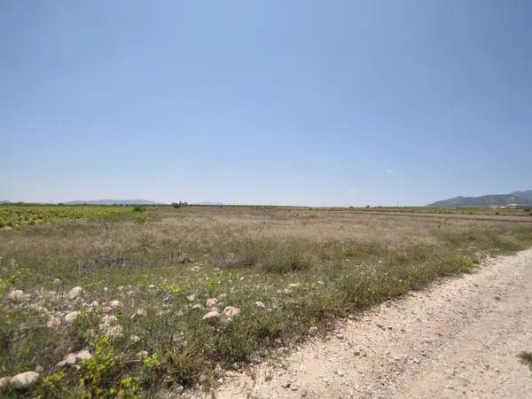 Terreno en Pinoso