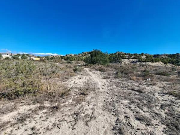 Terreno en Cañada del Fenollar