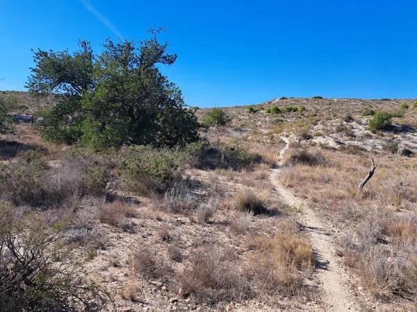 Terreno en Cañada del Fenollar