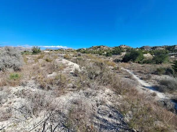 Terreno en Cañada del Fenollar