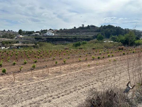 Terreno en Teulada