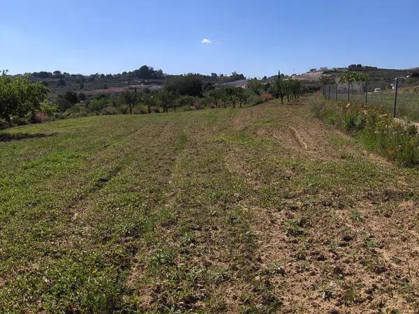 Terreno en Partida Benimalluny