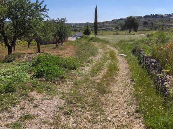 Terreno en Partida Benimalluny