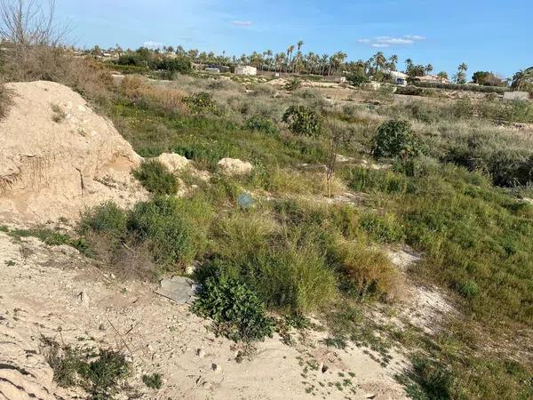 Terreno en Algoda-Matola-Llano de San José