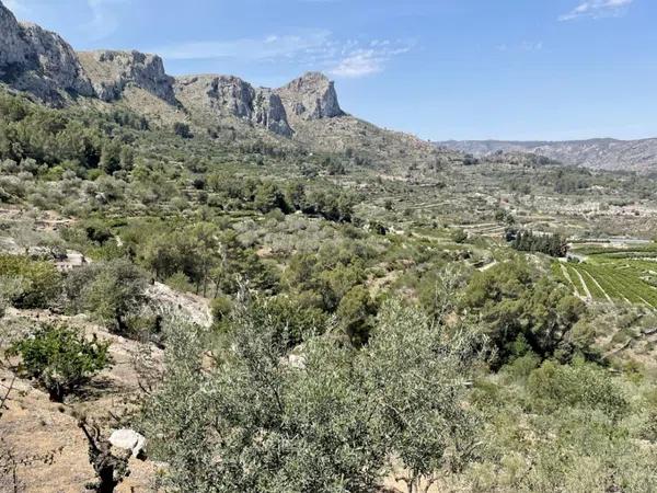 Terreno en Vall de Gallinera