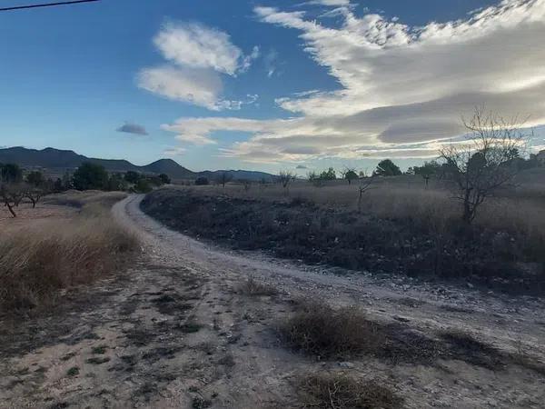 Terreno en Partida Font del Pi, 3