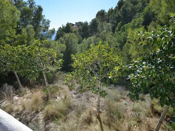 Terreno en Altea la Vella