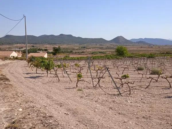 Terreno en Pinoso