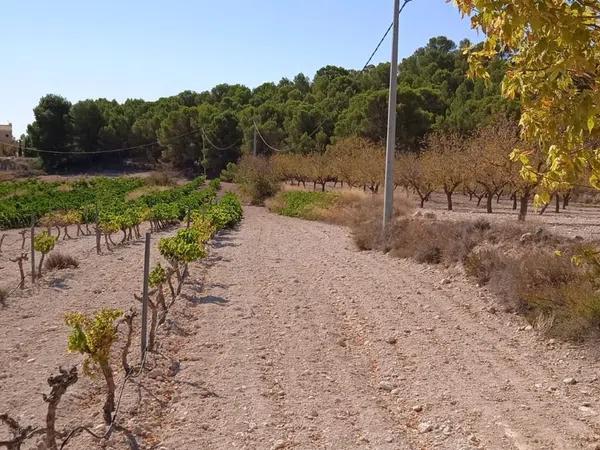 Terreno en Pinoso