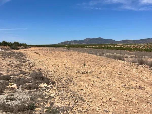 Terreno en carretera De Lel s/n