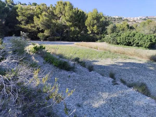 Terreno en Partida Sant Antoni