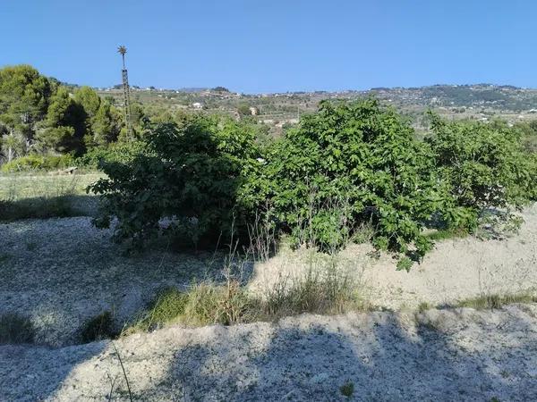 Terreno en Partida Sant Antoni