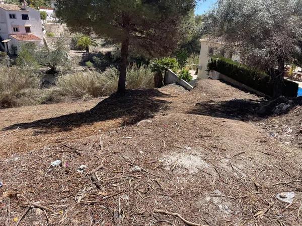 Terreno en Cala Advocat - Baladrar